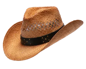 Henschel Hat Company | Eustace Raffia Straw Hat