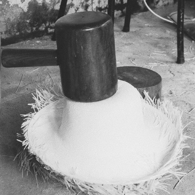 Samba in Ivory